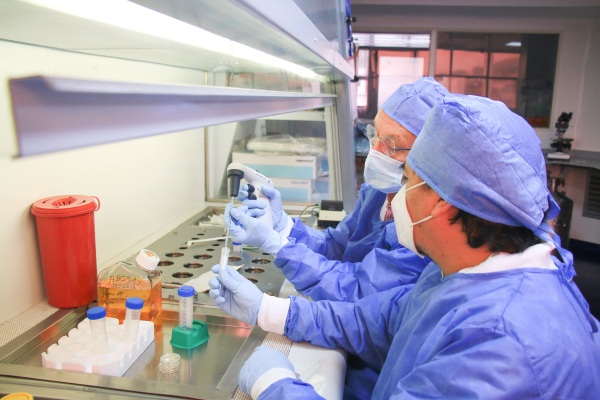 Univalle anuncia nuevo proyecto para otorgar becas de doctorado con recursos de Regalías